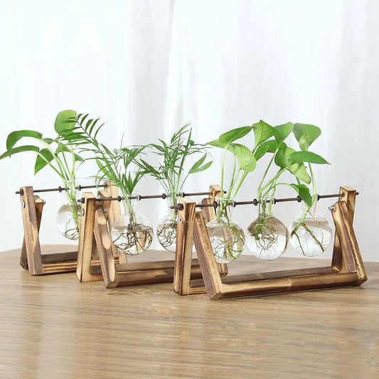 Wooden Frame Hydroponic Terrarium Planter - Glass Vases for Tabletop Decoration - ZOOMNSTORE