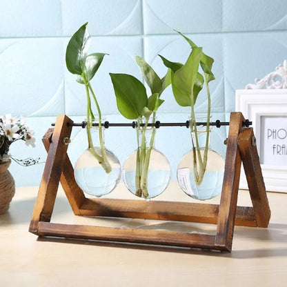 Wooden Frame Hydroponic Terrarium Planter - Glass Vases for Tabletop Decoration - ZOOMNSTORE