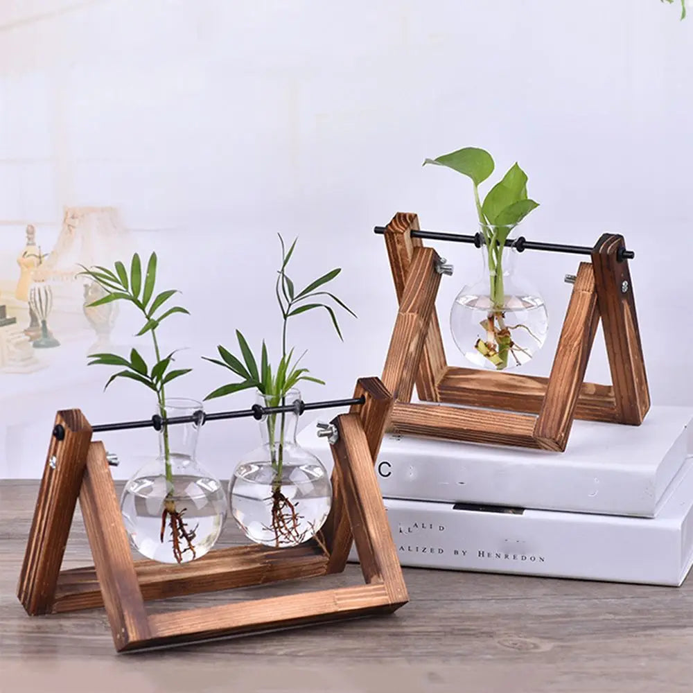 Wooden Frame Hydroponic Terrarium Planter - Glass Vases for Tabletop Decoration - ZOOMNSTORE