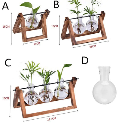 Wooden Frame Hydroponic Terrarium Planter - Glass Vases for Tabletop Decoration - ZOOMNSTORE