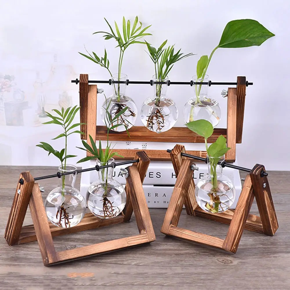Wooden Frame Hydroponic Terrarium Planter - Glass Vases for Tabletop Decoration - ZOOMNSTORE