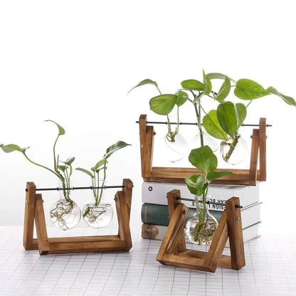 Wooden Frame Hydroponic Terrarium Planter - Glass Vases for Tabletop Decoration - ZOOMNSTORE