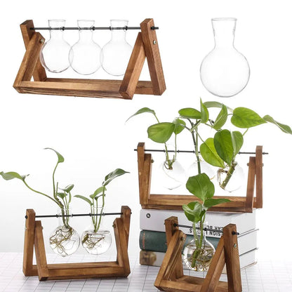 Wooden Frame Hydroponic Terrarium Planter - Glass Vases for Tabletop Decoration - ZOOMNSTORE