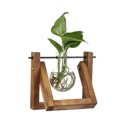 Wooden Frame Hydroponic Terrarium Planter - Glass Vases for Tabletop Decoration - ZOOMNSTORE