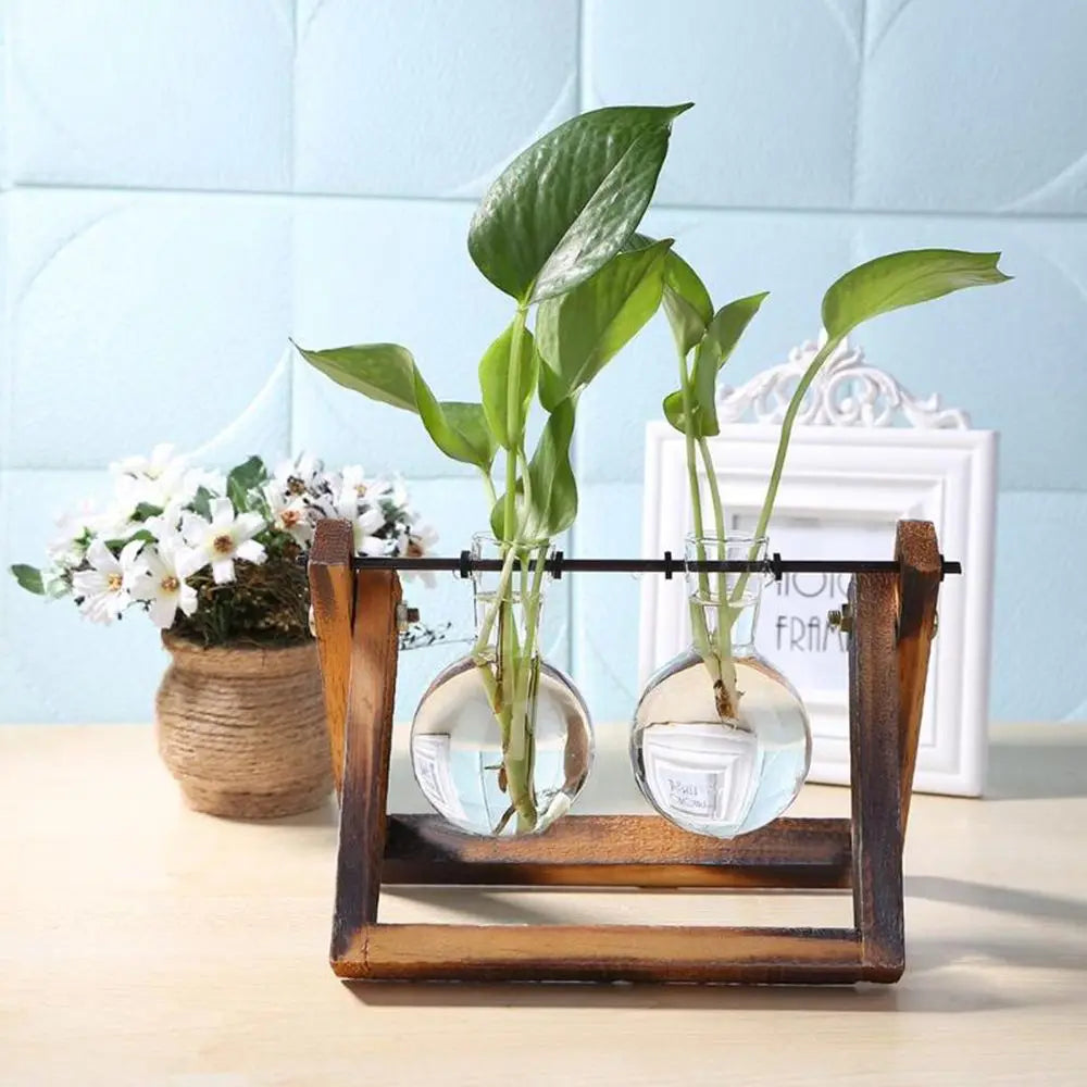Wooden Frame Hydroponic Terrarium Planter - Glass Vases for Tabletop Decoration - ZOOMNSTORE