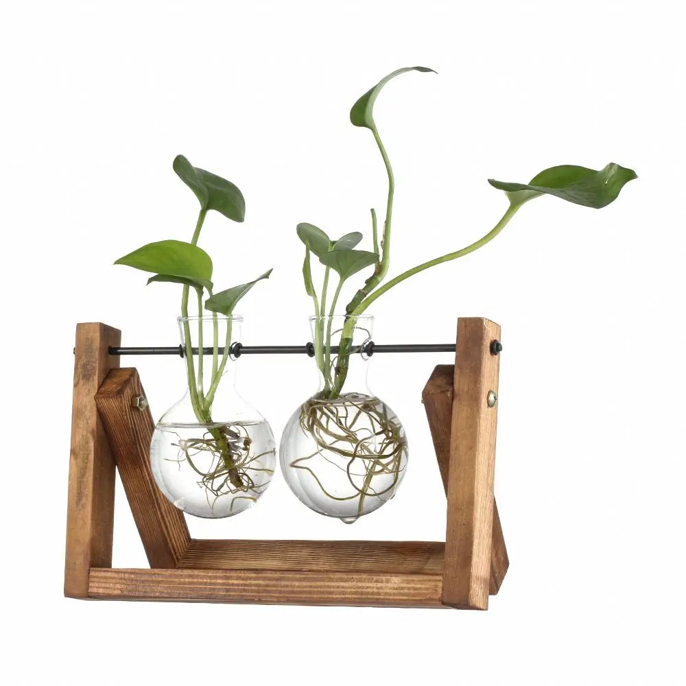 Wooden Frame Hydroponic Terrarium Planter - Glass Vases for Tabletop Decoration - ZOOMNSTORE