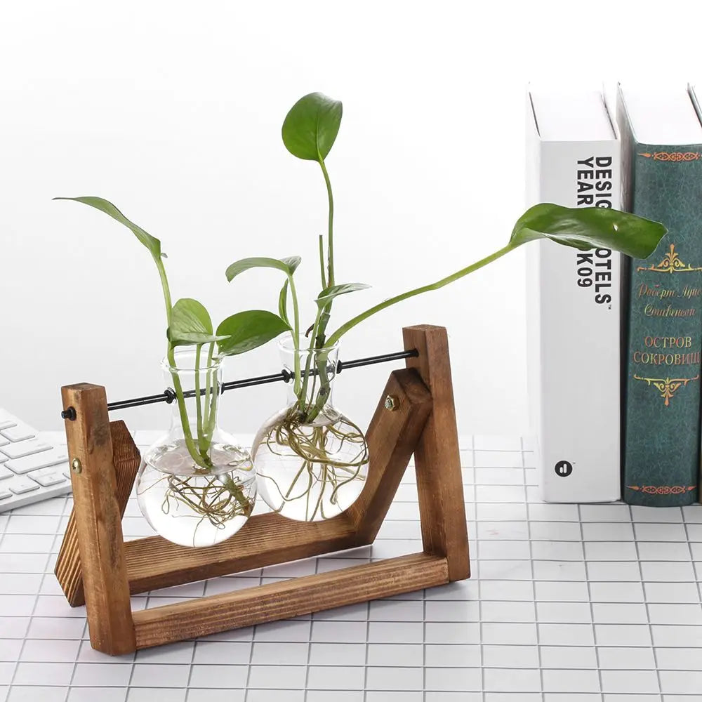 Wooden Frame Hydroponic Terrarium Planter - Glass Vases for Tabletop Decoration - ZOOMNSTORE