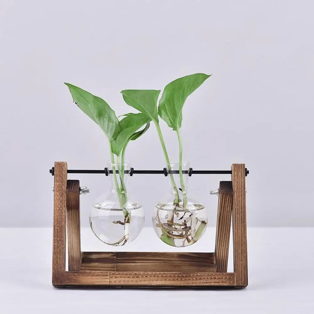 Wooden Frame Hydroponic Terrarium Planter - Glass Vases for Tabletop Decoration - ZOOMNSTORE