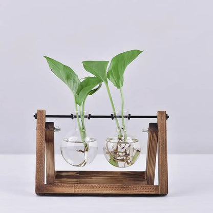 Wooden Frame Hydroponic Terrarium Planter - Glass Vases for Tabletop Decoration - ZOOMNSTORE