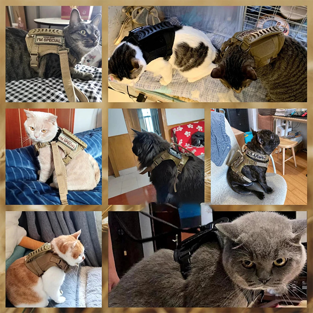 Tactical Cat Harness with Leash - Adjustable Vest for Small Dogs and Puppies Training Accessories - ZOOMNSTORE