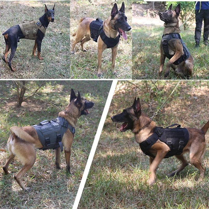 Tactical Dog Harness and Leash Set for German Shepherds and Retrievers - Training Vest for All Breeds - ZOOMNSTORE