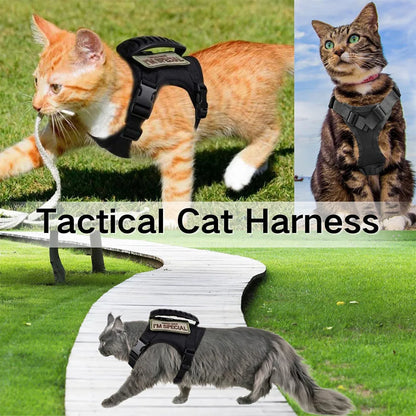 Adjustable Tactical Pet Harness with Leash - Soft Mesh Vest for Large Cats and Dogs - ZOOMNSTORE
