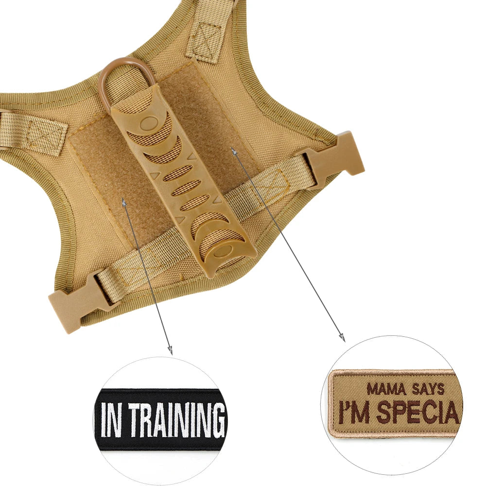 Adjustable Tactical Puppy Harness  Leash for Small Dogs and Cats - Military-Style Vest for Training and Walking - ZOOMNSTORE