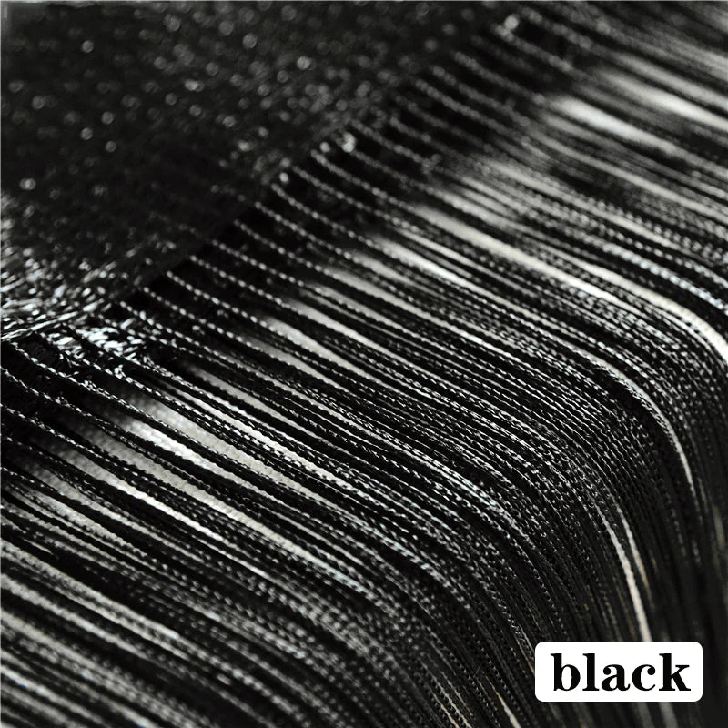 Thread Curtain Divider - 100CM x 200CM String Tassel Panel for Living Room Door Window - ZOOMNSTORE