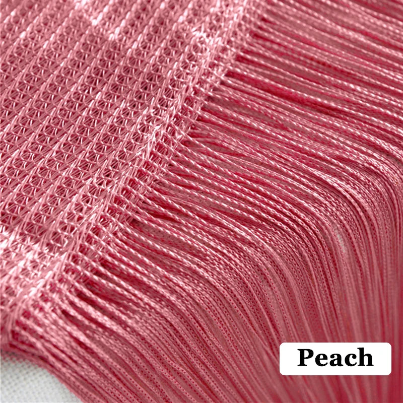 Thread Curtain Divider - 100CM x 200CM String Tassel Panel for Living Room Door Window - ZOOMNSTORE