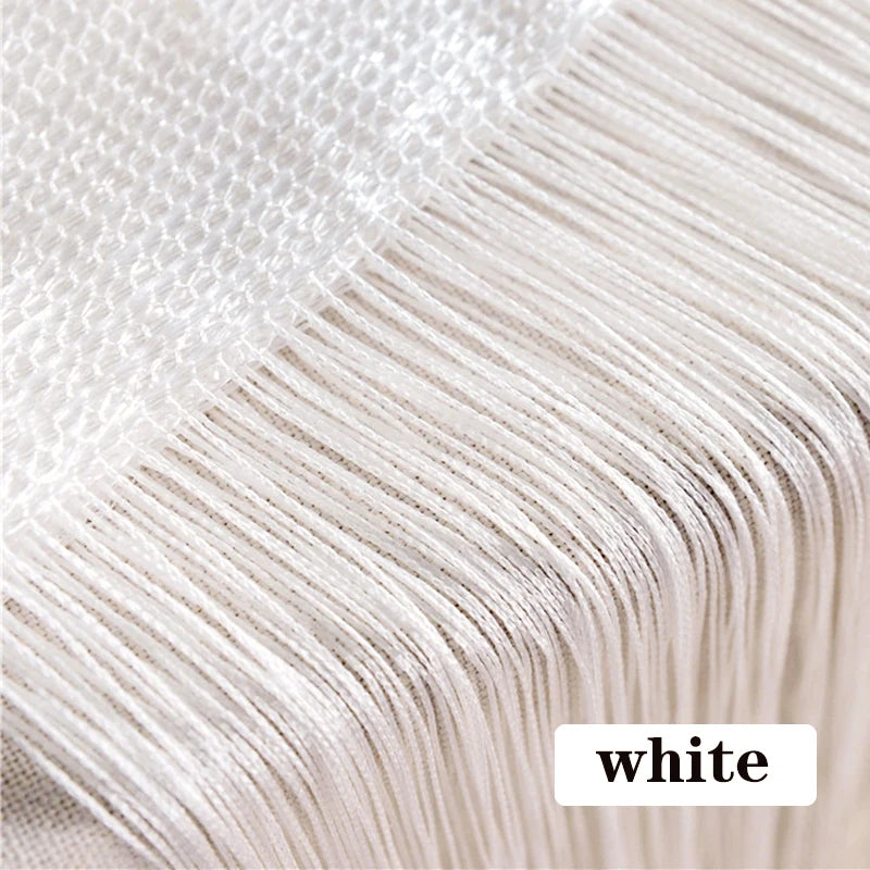 Thread Curtain Divider - 100CM x 200CM String Tassel Panel for Living Room Door Window - ZOOMNSTORE