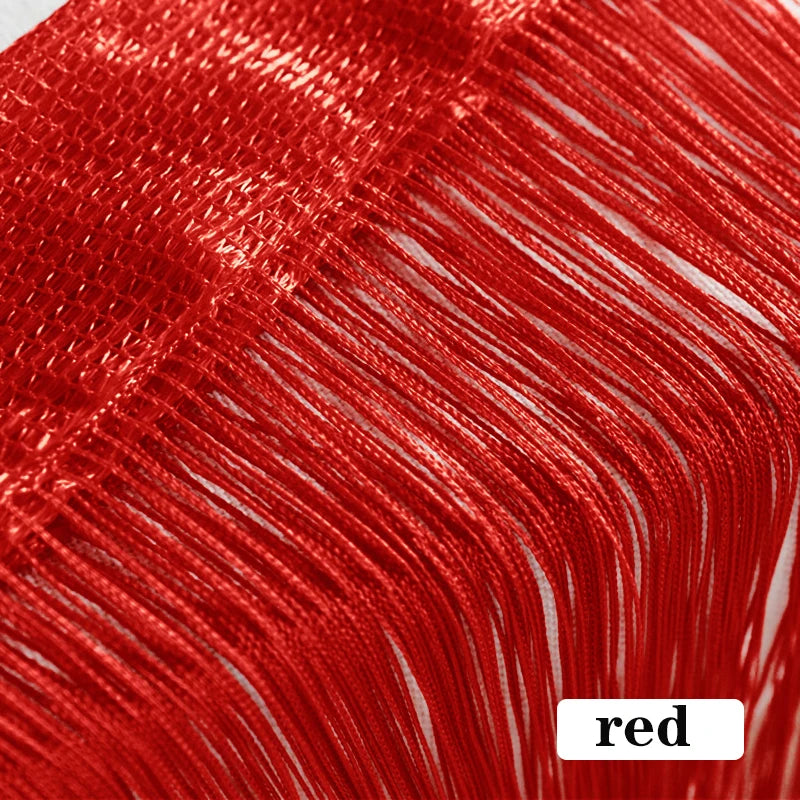 Thread Curtain Divider - 100CM x 200CM String Tassel Panel for Living Room Door Window - ZOOMNSTORE