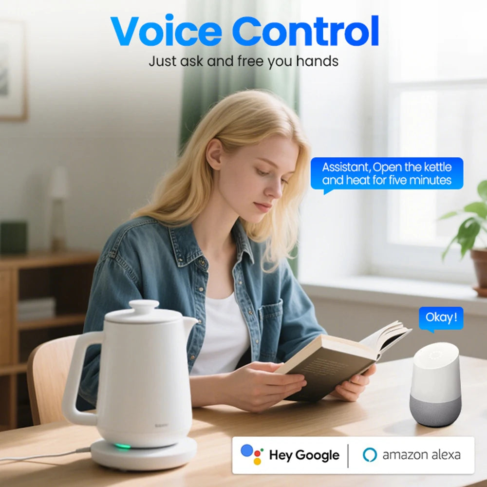 Tuya Smart Plug – US Standard WiFi Smart Socket With Alexa & Google Assistant Control - ZOOMNSTORE