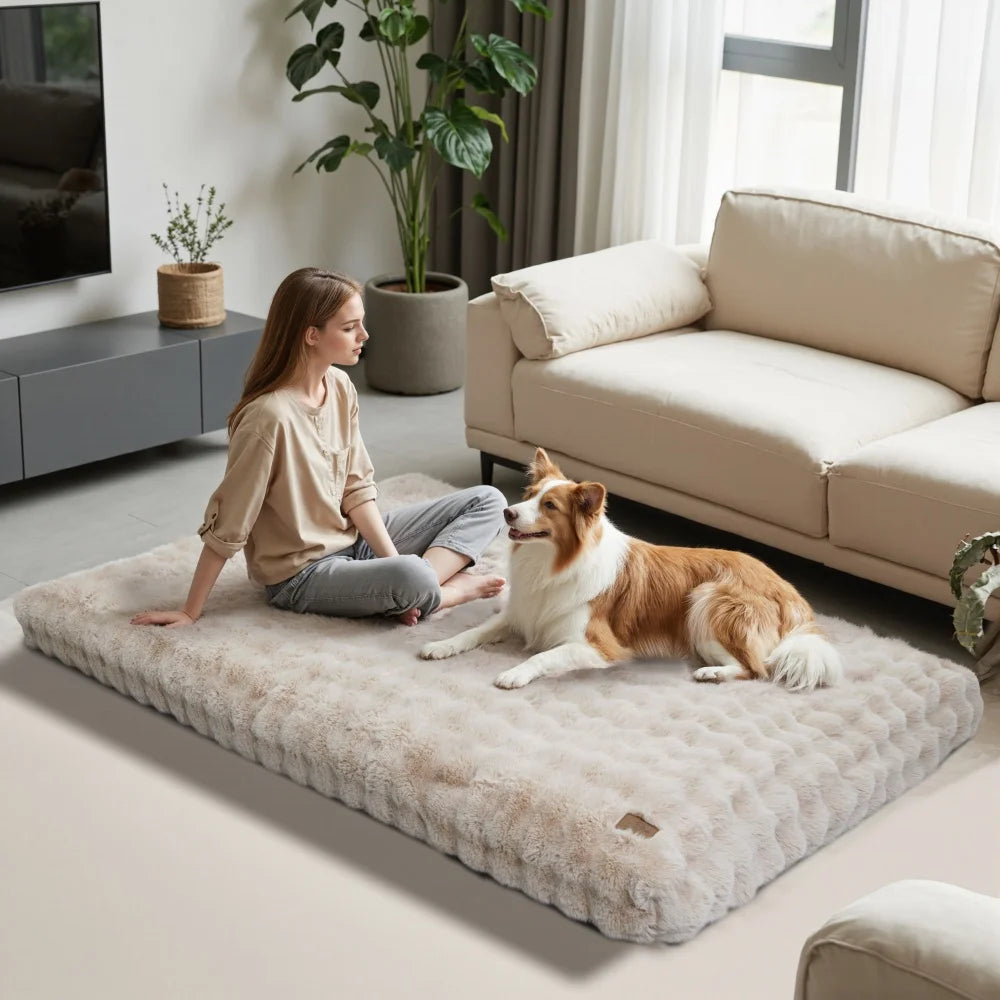 Ultra Plush Dog Bed - Large Soft Pet Cushion with Premium Foam & Removable Cover - ZOOMNSTORE