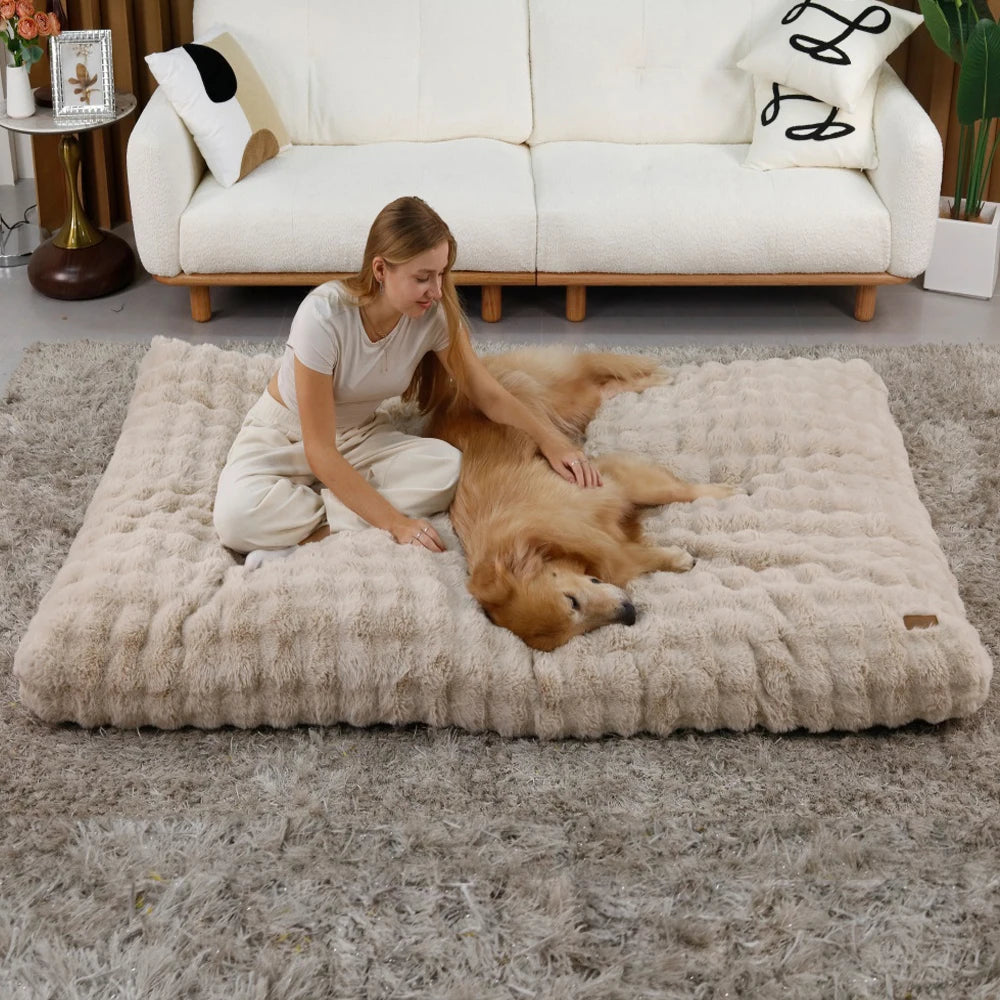 Ultra Plush Dog Bed - Large Soft Pet Cushion with Premium Foam & Removable Cover - ZOOMNSTORE