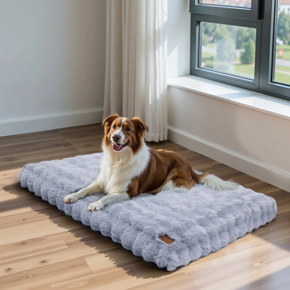 Ultra Plush Dog Bed - Large Soft Pet Cushion with Premium Foam & Removable Cover - ZOOMNSTORE