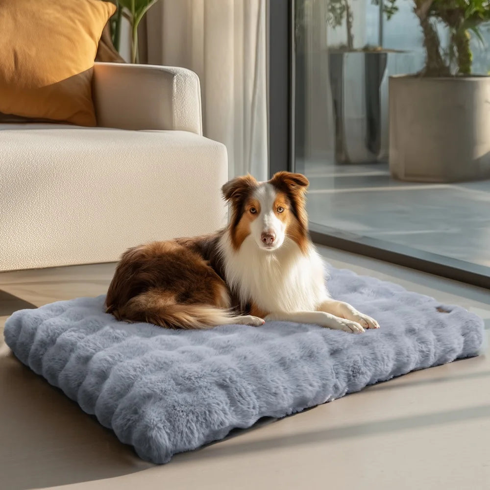 Ultra Plush Dog Bed - Large Soft Pet Cushion with Premium Foam & Removable Cover - ZOOMNSTORE