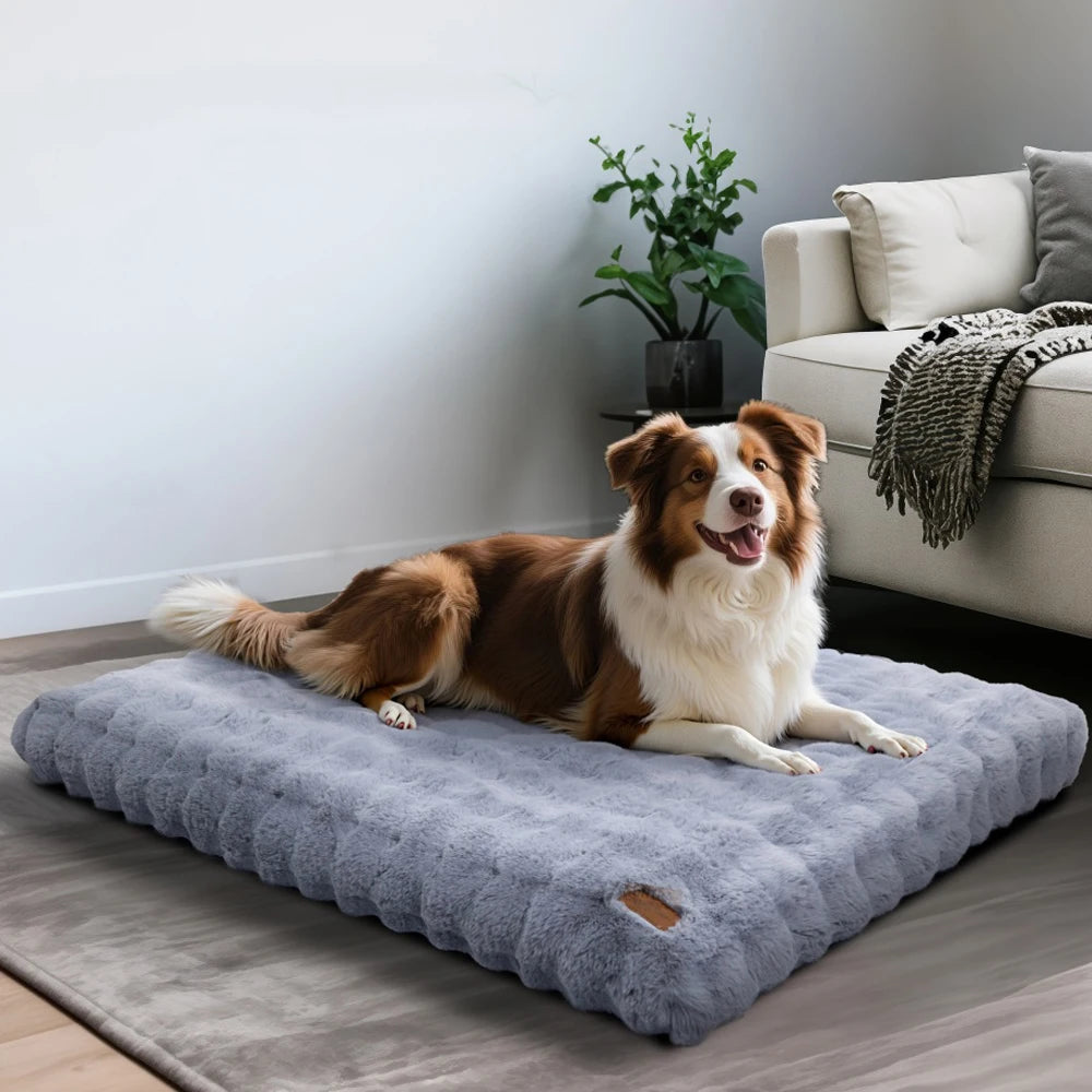 Ultra Plush Dog Bed - Large Soft Pet Cushion with Premium Foam & Removable Cover - ZOOMNSTORE