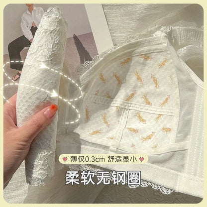 Ultra-Thin Lace Bra - Breathable Summer Push Up Wire Free Back Closure - ZOOMNSTORE