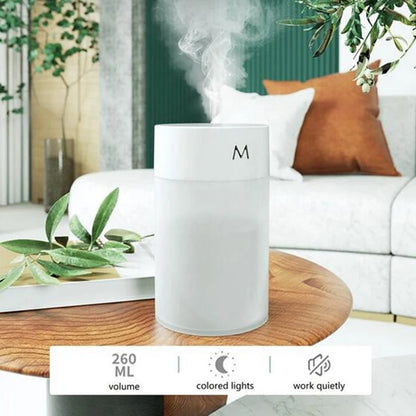 Mini Ultrasonic Humidifier  Aromatherapy Diffuser - Portable USB Essential Oil Sprayer with LED Lamp for Home  Car - ZOOMNSTORE