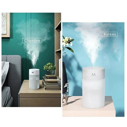 Mini Ultrasonic Humidifier  Aromatherapy Diffuser - Portable USB Essential Oil Sprayer with LED Lamp for Home  Car - ZOOMNSTORE