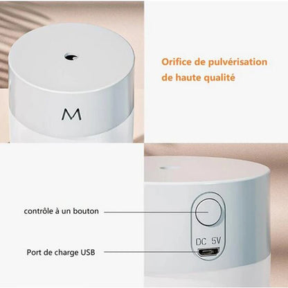 Mini Ultrasonic Humidifier  Aromatherapy Diffuser - Portable USB Essential Oil Sprayer with LED Lamp for Home  Car - ZOOMNSTORE