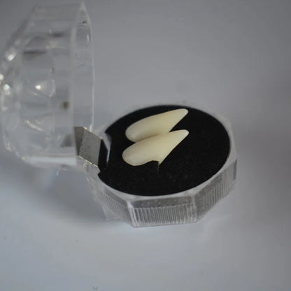 Vampire Fangs Dentures - Halloween Costume Props with Adhesive - ZOOMNSTORE