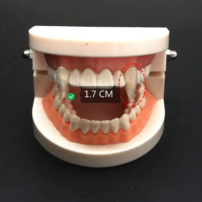 Vampire Fangs Dentures - Halloween Costume Props with Adhesive - ZOOMNSTORE