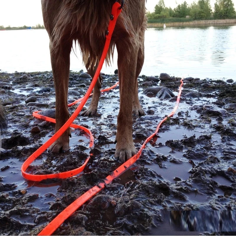 Waterproof Dog Leash - Easy Clean PVC Training Lead for Small to Large Dogs 3m 5m 10m 15m - ZOOMNSTORE