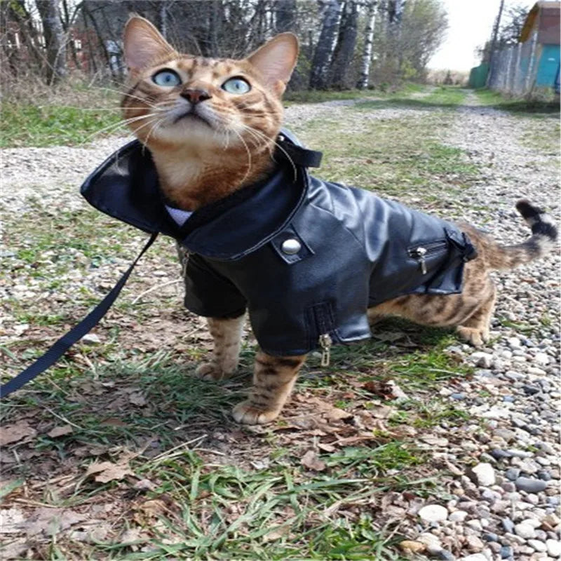 Waterproof PU Leather Dog Coat - Glorious Eagle Pattern Jacket for Small Pets - ZOOMNSTORE