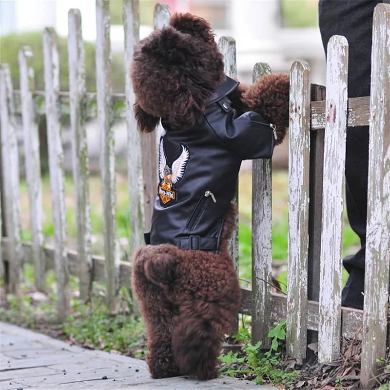 Waterproof PU Leather Dog Coat - Glorious Eagle Pattern Jacket for Small Pets - ZOOMNSTORE
