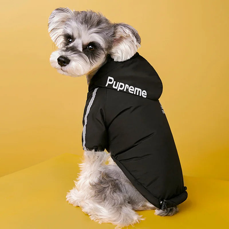 ZOOMNSTORE