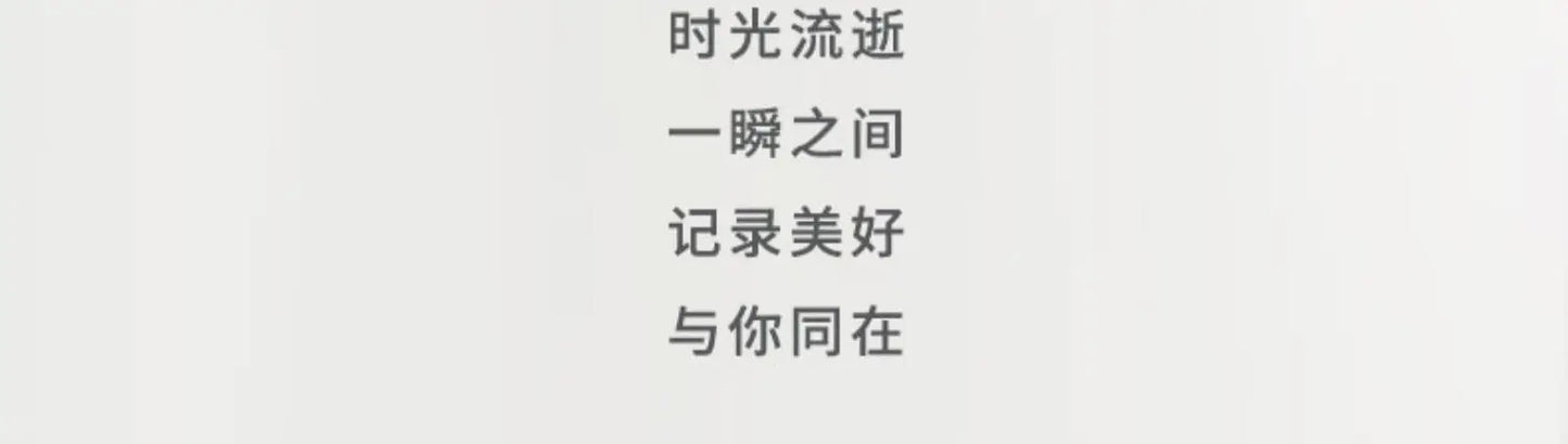 Weekly Planner Notebook - Undated Agenda & Daily Monthly Schedule Book - ZOOMNSTORE