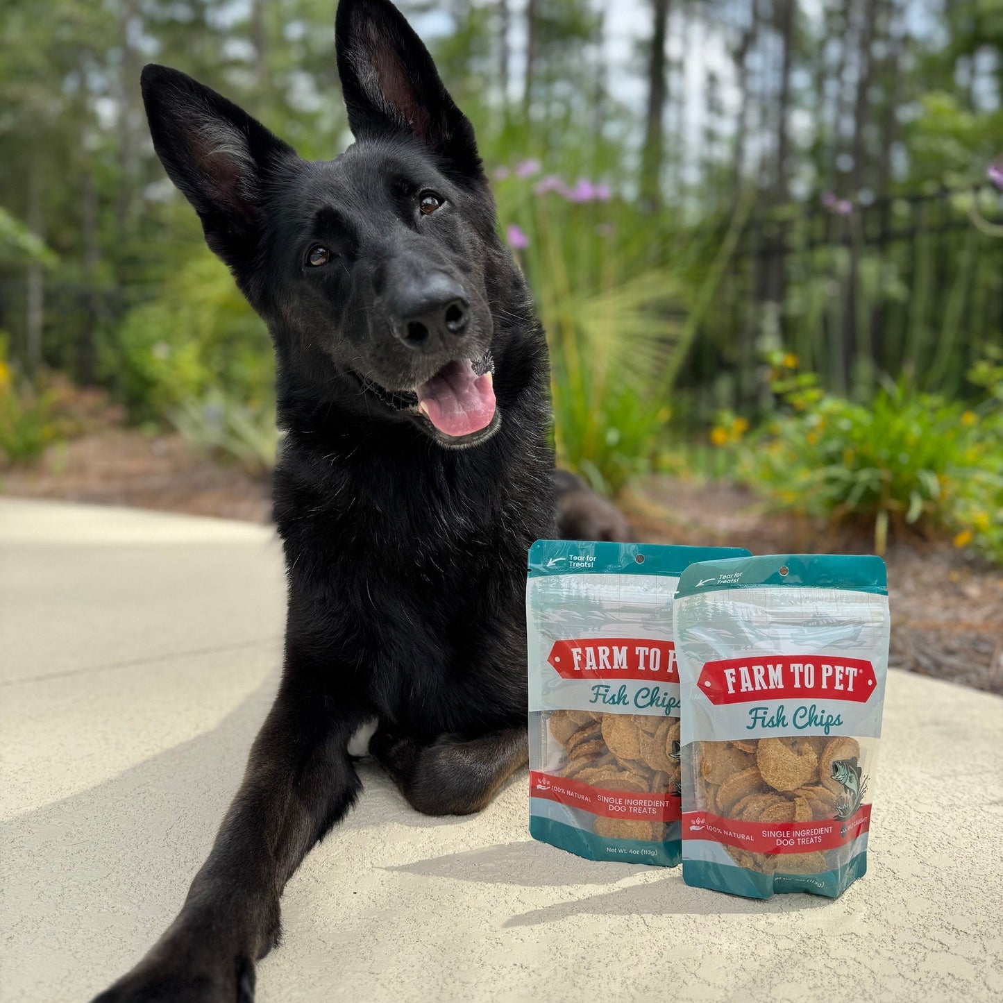 Fish Chips for Dogs | Wild-Caught Fish Dog Treats - ZOOMNSTORE