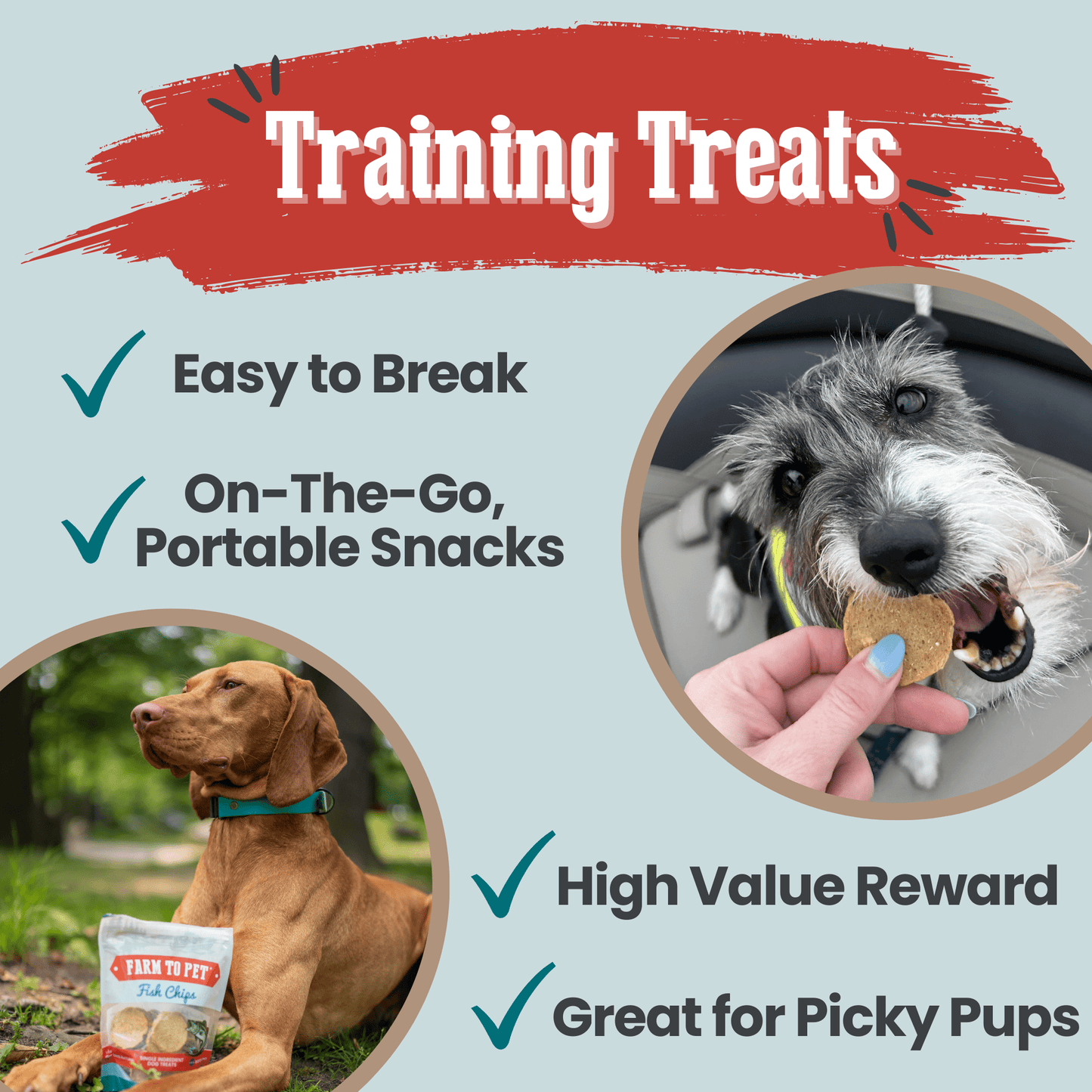 Fish Chips for Dogs | Wild-Caught Fish Dog Treats - ZOOMNSTORE