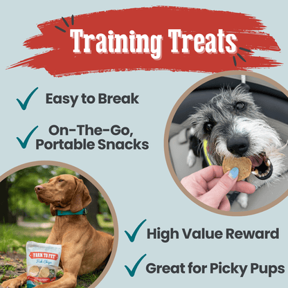 Fish Chips for Dogs | Wild-Caught Fish Dog Treats - ZOOMNSTORE