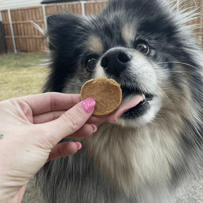 Fish Chips for Dogs | Wild-Caught Fish Dog Treats - ZOOMNSTORE