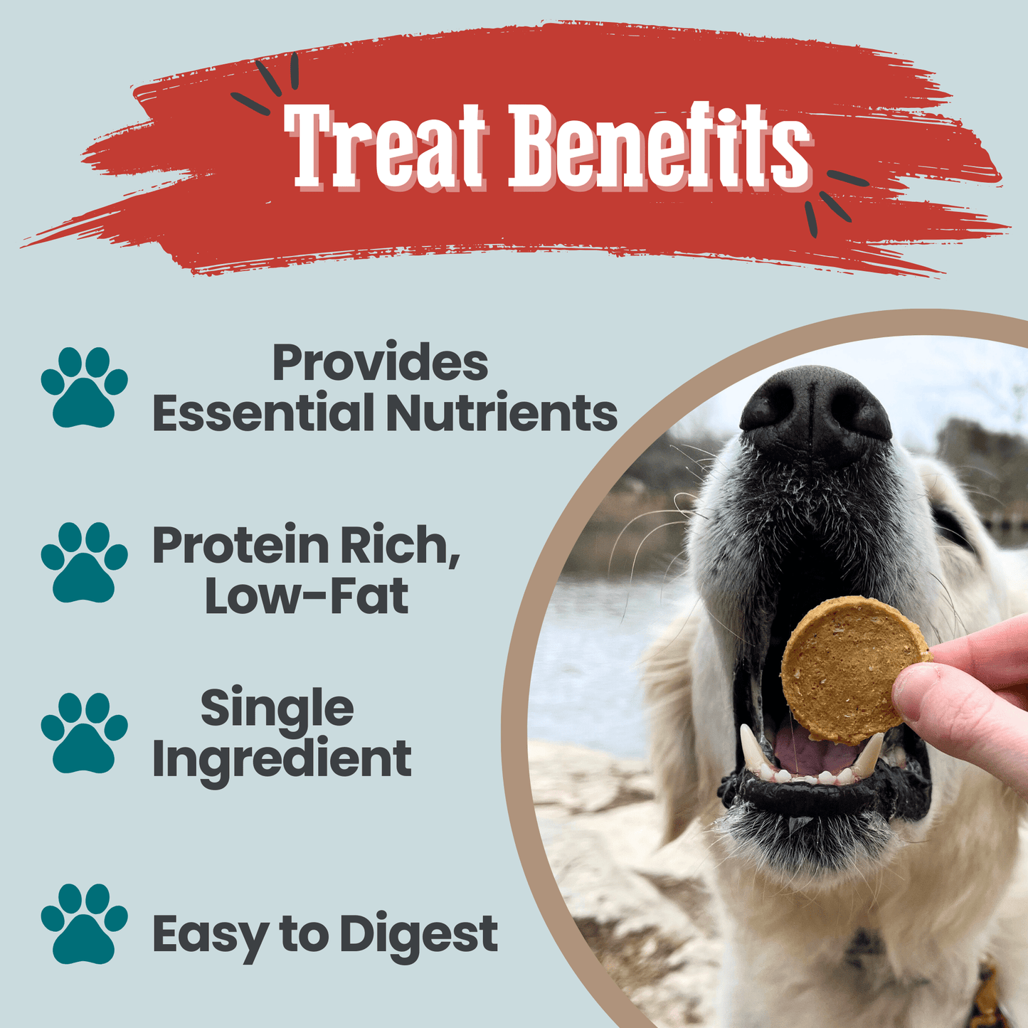 Fish Chips for Dogs | Wild-Caught Fish Dog Treats - ZOOMNSTORE