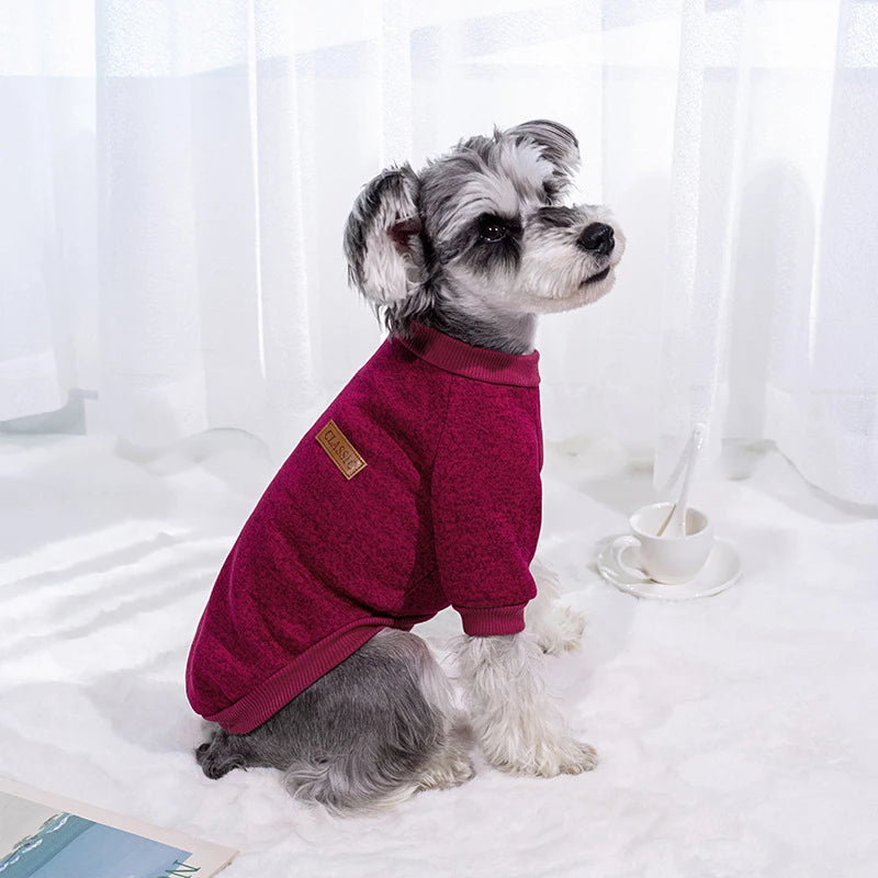 Winter Dog Coat for Small Dogs - Warm Sweatshirt for Schnauzer  Pug - ZOOMNSTORE