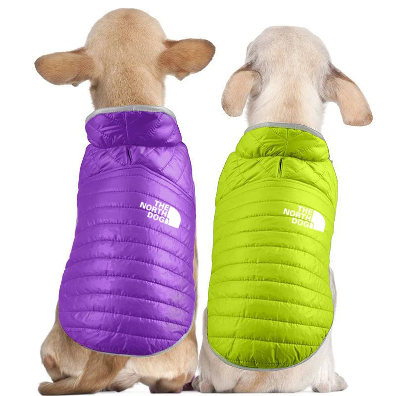 ZOOMNSTORE
