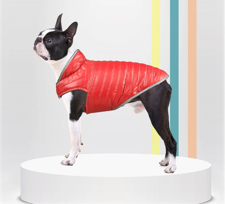Winter Dog Coat - Double Sided Pet Winter Vest for Small & Medium Dogs | Soft Nylon Jacket - ZOOMNSTORE
