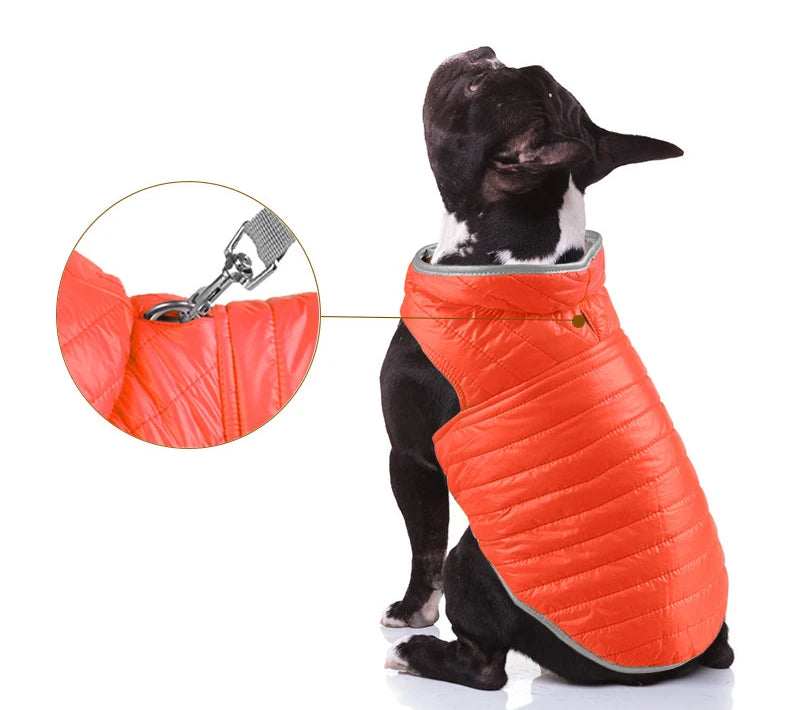 Winter Dog Coat - Double Sided Pet Winter Vest for Small & Medium Dogs | Soft Nylon Jacket - ZOOMNSTORE