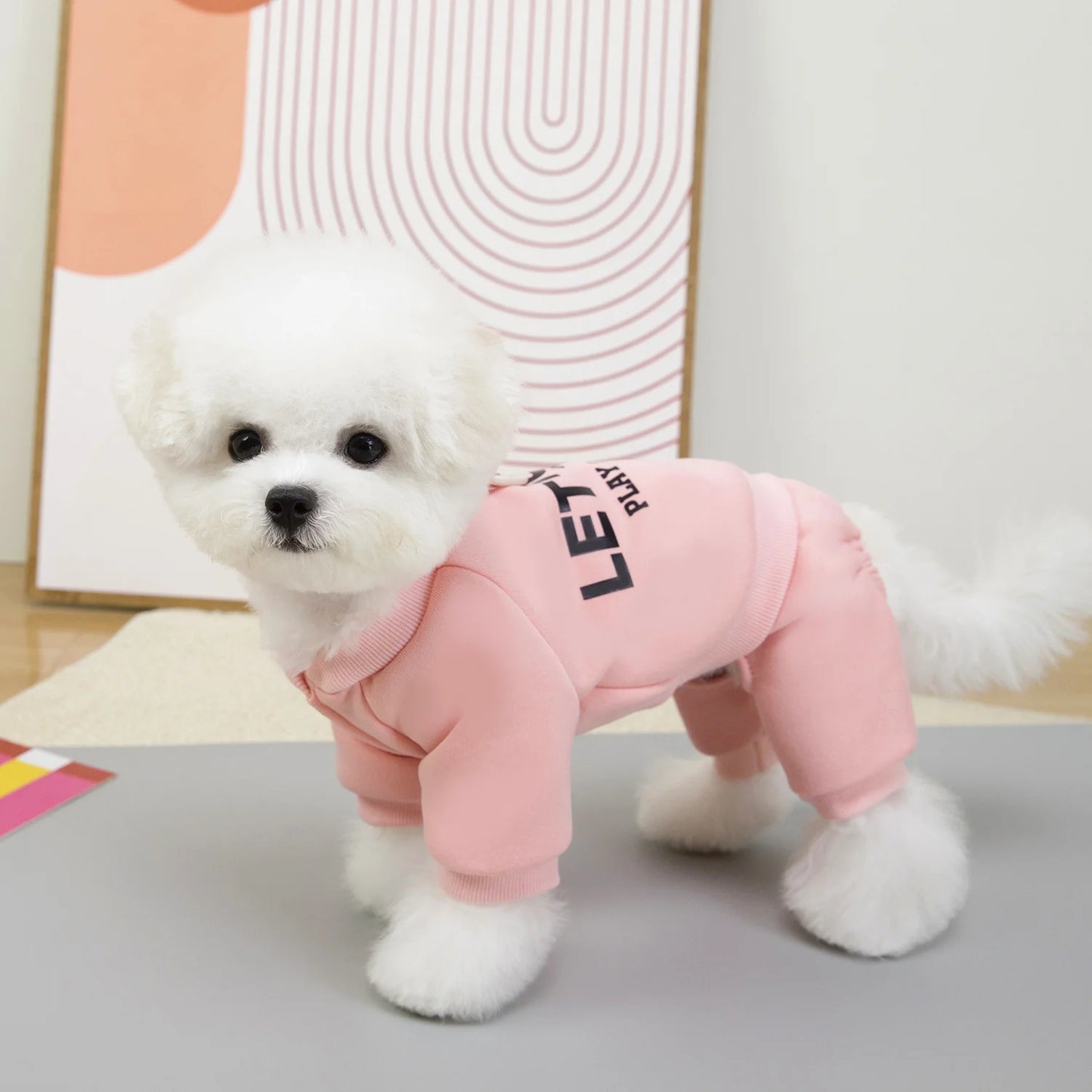 Winter Dog Coat – Thick Polyester Dog Hoodies & Warm Puppy Jumpsuit For Small Medium Dogs - ZOOMNSTORE
