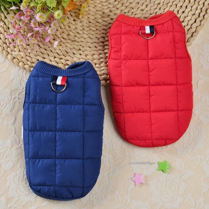 Winter Dog Coat - Windproof Padded Jacket for Small Dogs - ZOOMNSTORE