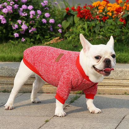 Winter Dog Coat for Small Dogs - Warm Sweatshirt for Schnauzer  Pug - ZOOMNSTORE